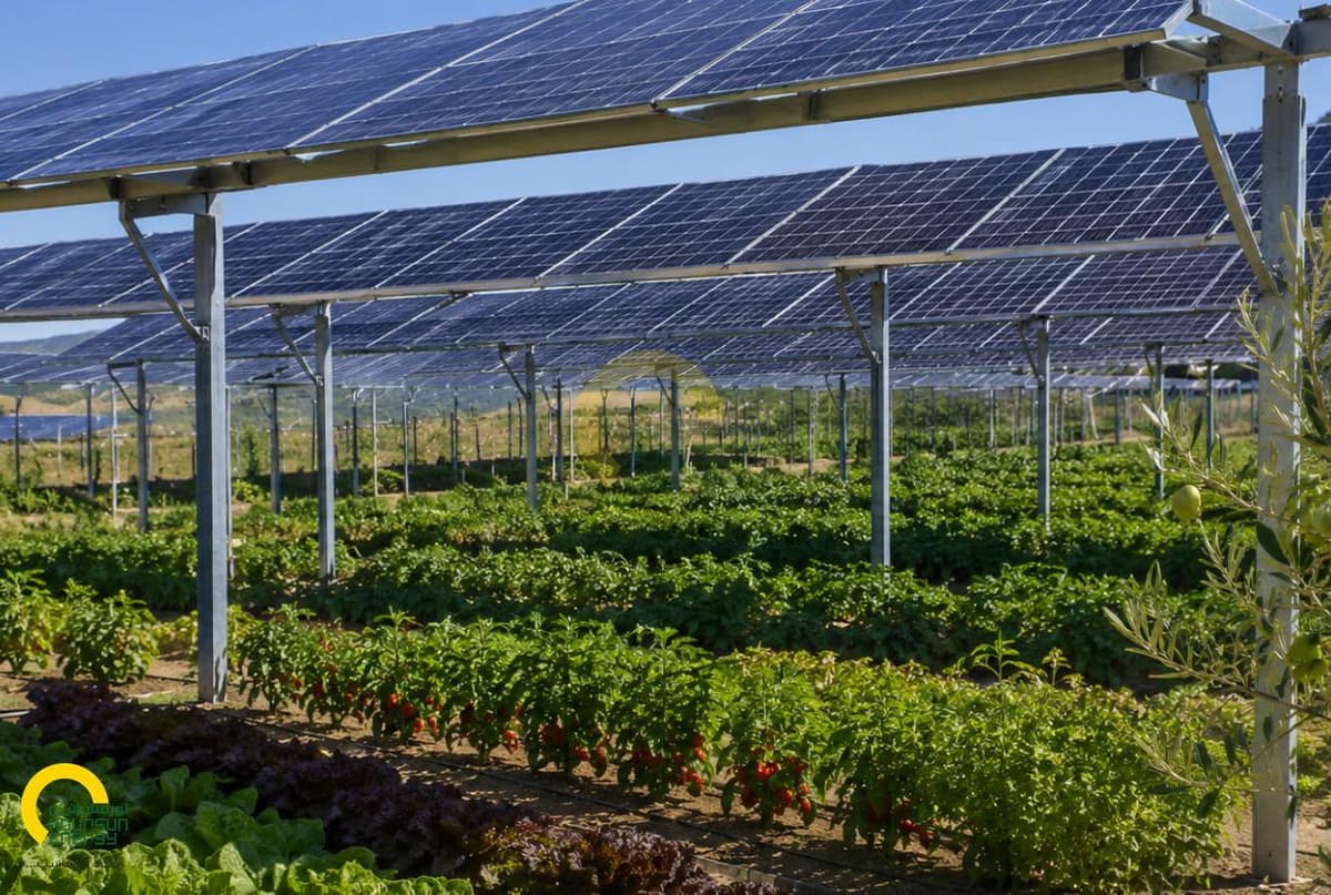 agri_pv_product.jpg