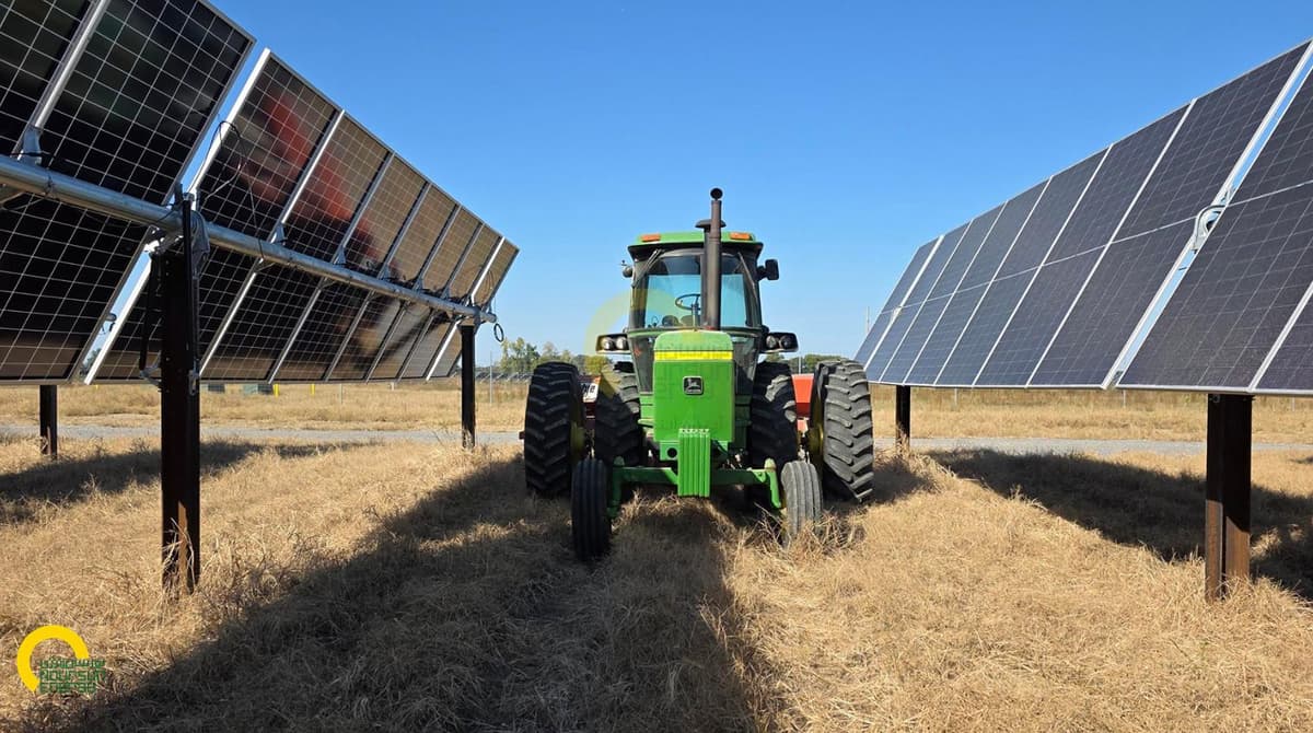 agri_pv_solar_2026.jpg