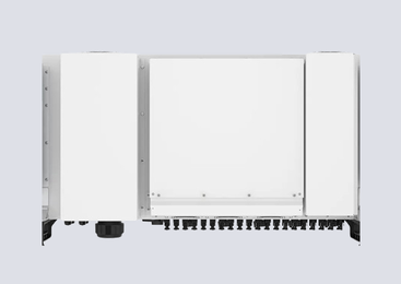 /uploads/2025/04/25/%D9%BE%D8%B4%D8%AA_%D9%85%D8%AD%D8%B5%D9%88%D9%84_NrCOS4M.png